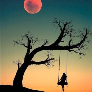 Meet your Posher, Karley